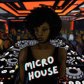 Micro House — Catalyst Samples