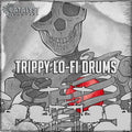 Trippy Lo-Fi Drums — Catalyst Samples